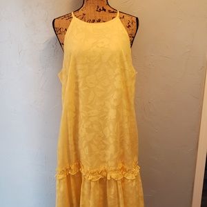 London Times Jacquard Drop Waist Dress, 14 (NWT)